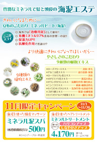 11月 ミネラルキャンペーン